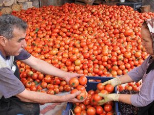 'Halde 2,5 lira olan domates 10 liraya satılıyor'