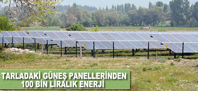 Tarladaki güneş panellerinden 100 bin liralık enerji