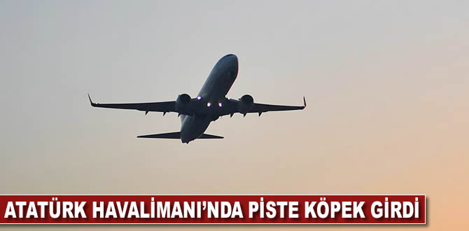 Atatürk Havalimanı'nda piste köpek girdi