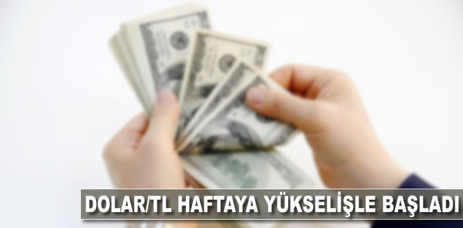 Dolar/TL haftaya yükselişle başladı