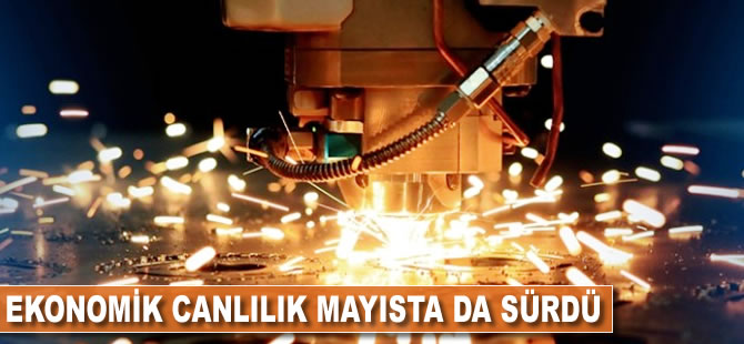 Ekonomik canlılık mayısta da sürdü