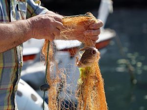 Balıkçılık ve su ürünlerinde yeni düzenleme