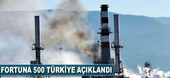 TÜPRAŞ, Türkiye'nin en büyük şirketi oldu