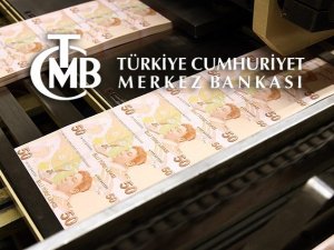 Döviz rezervi 1.1 milyar dolar yükseldi