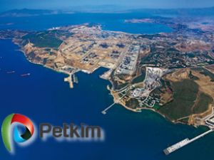 Petkim'e dış ticaret sermaye şirketi statüsü