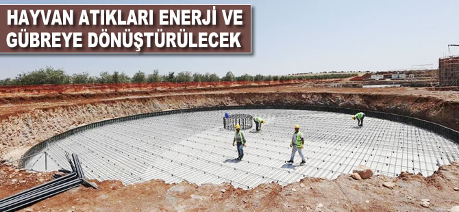 Hayvan atıkları enerji ve gübreye dönüştürülecek