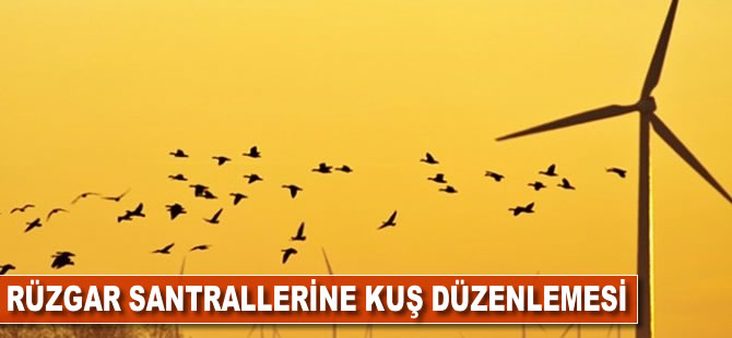 Rüzgar santrallerine 'kuş' düzenlemesi