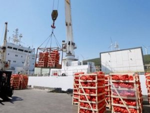 Gıda yüklü ikinci gemi Katar'a bayram öncesi ulaşacak