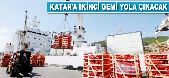 Gıda yüklü ikinci gemi Katar'a bayram öncesi ulaşacak