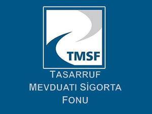 TMSF'ye devredilen şirketlerle ilişkin düzenleme
