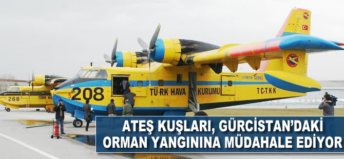 Ateş Kuşları Gürcistan'daki orman yangınına müdahale ediyor