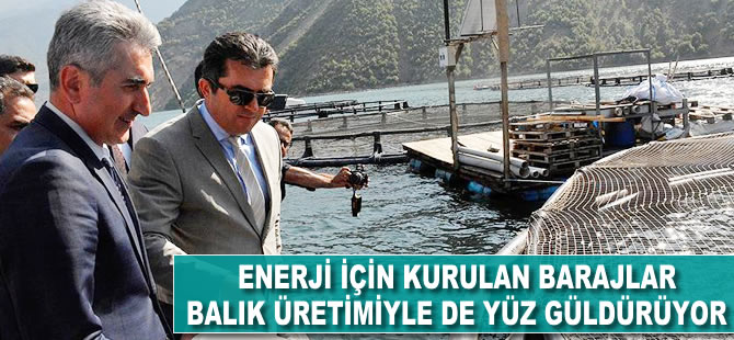 Enerji için kurulan barajlar balık üretimiyle de yüz güldürüyor