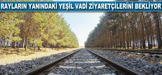 Rayların yanındaki 'Yeşil vadi' ziyaretçilerini bekliyor