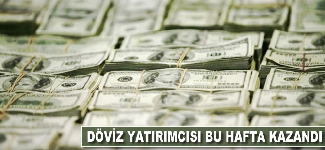 Döviz yatırımcısı bu hafta kazandı