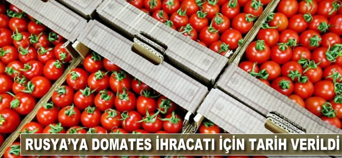 Rusya'ya domates ihracatı için tarih verildi
