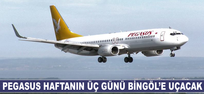 Pegasus haftanın 3 günü Bingöl'e uçacak