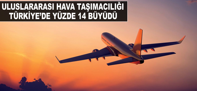 Uluslararası hava taşımacılığı Türkiye'de yüzde 14 büyüdü