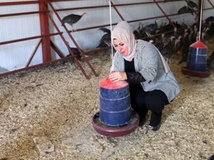 Hibe desteğiyle işveren oldu