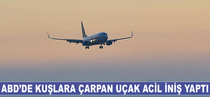 ABD'de kuşlara çarpan uçak acil iniş yaptı