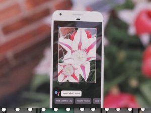Google Lens teknolojisi telefonlara geliyor