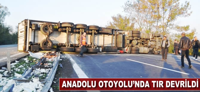 Anadolu Otoyolu'nda TIR devrildi