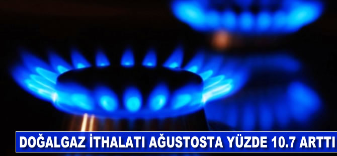 Ağustosta doğalgaz ithalatı arttı