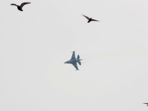 SOLOTÜRK, Edirne'nin Kurtuluş Günü kapsamında gösteri uçuşu yaptı