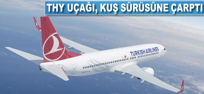 THY uçağı kuş sürüsüne çarptı