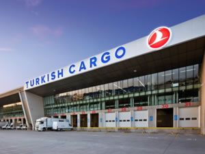 Turkish Cargo, ABD'den at taşıdı