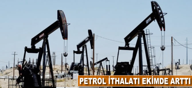 Petrol ithalatı ekimde arttı