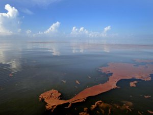 BP, Meksika Körfezi'ndeki sızıntı için 1.7 milyar dolar daha ödeyecek