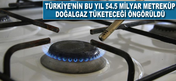 Türkiye'nin bu yıl 54.5 milyar metreküp doğalgaz tüketeceği öngörüldü