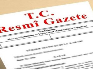 Gümrük ve Ticaret Konseyi Yönetmeliği'nde değişiklik