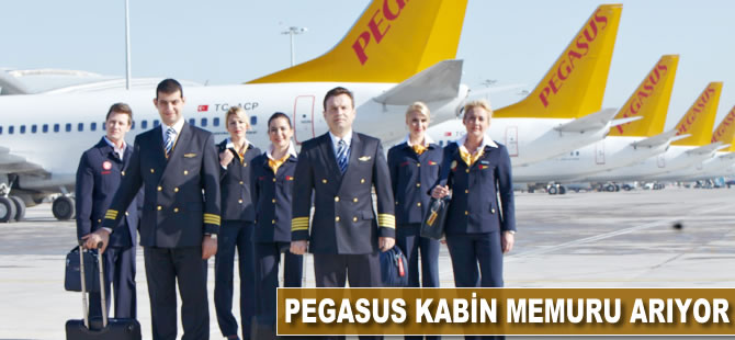 Pegasus kabin memuru arıyor