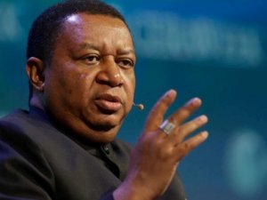 Muhammed Barkindo: Petrolde en kötü geride kaldı