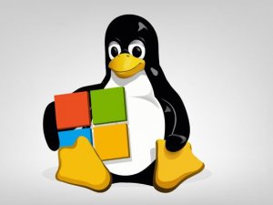 Microsoft kendi Linux sürümünü dağıtacak!