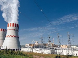 Anton Dedusenko: Petrolden elektirik üretimi Akkuyu'dan daha pahalıya gelebilir