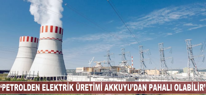 Anton Dedusenko: Petrolden elektirik üretimi Akkuyu'dan daha pahalıya gelebilir