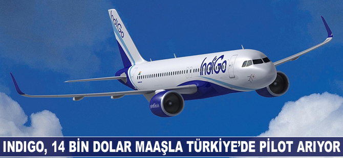 Indigo, Türkiye'de pilot arıyor