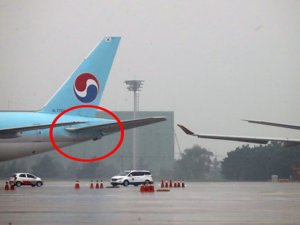Güney Kore'de havalimanında iki uçak çarpıştı