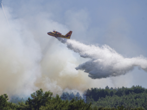 Güney kıbrıs yangın söndürme uçağı alıyor