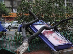 Çin’de tayfun alarmı