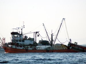 49 gün boyunca yaşam mücadelesi verdi