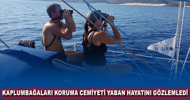 Kaplumbağaları Koruma Cemiyeti yaban hayatını gözlemledi