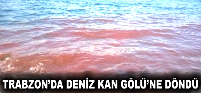 Trabzon'da Deniz Kan Gölü'ne döndü
