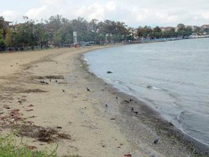 Yalova'da deniz çekilmesinin nedeni belli oldu