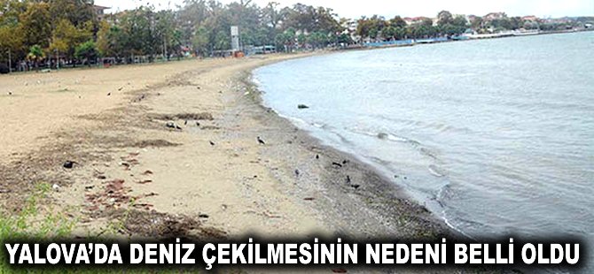 Yalova'da deniz çekilmesinin nedeni belli oldu