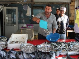 Arhavi'de Palamut tezgâhlara renk kattı