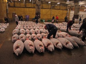 Tsukiji Balık Pazarı taşınıyor