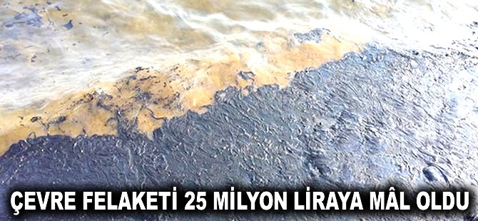 Çevre felaketi 25 milyon liraya mâl oldu